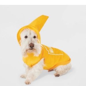 Hyde and eek Halloween dog mustard costume
